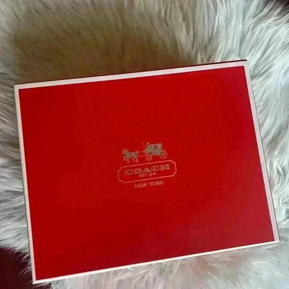 Coach Steffi Heeled Sandals – Natural/Silver, Size 6B High Heels Strap Pumps - Picture 10 of 16